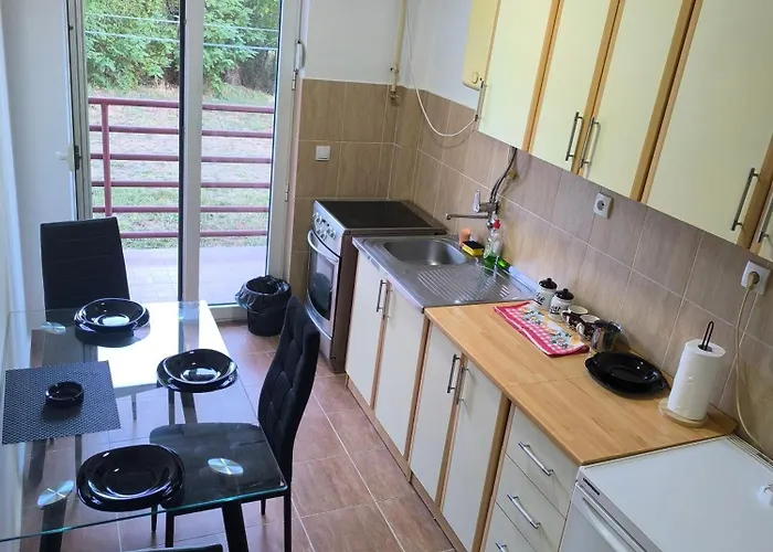 R & P 2 شقة ملادينوفاتس